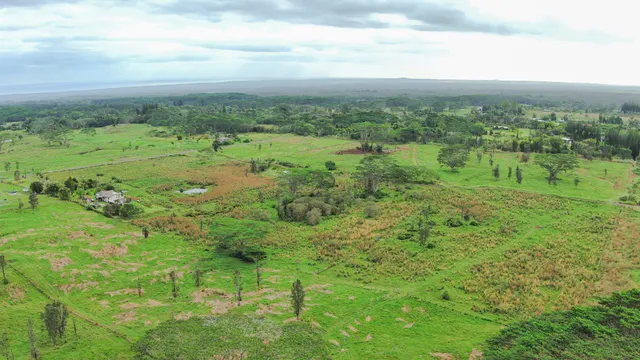 a view of a green field with lots of trees