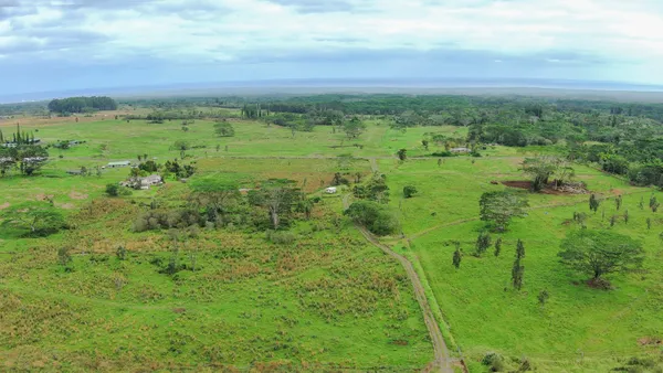a view of a green field with lots of trees
