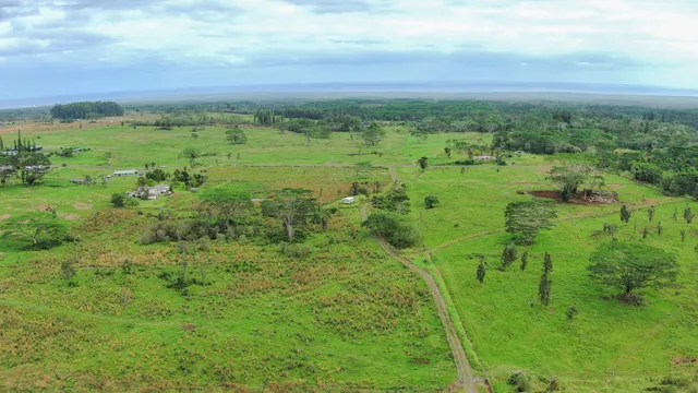 a view of a green field with lots of trees