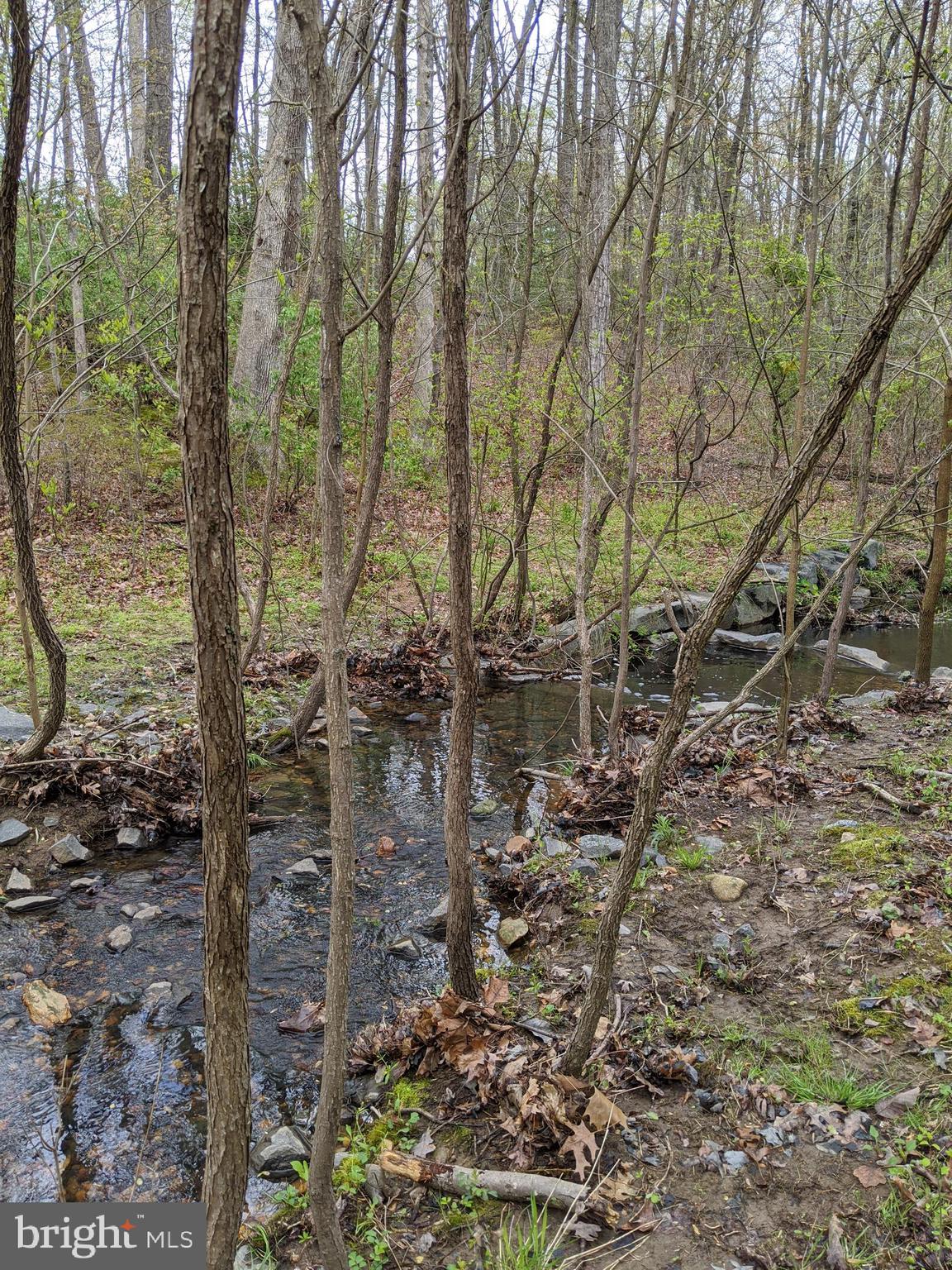 2080 Golf Course Drive Reston, VA 20191 - Photo 47 of 48