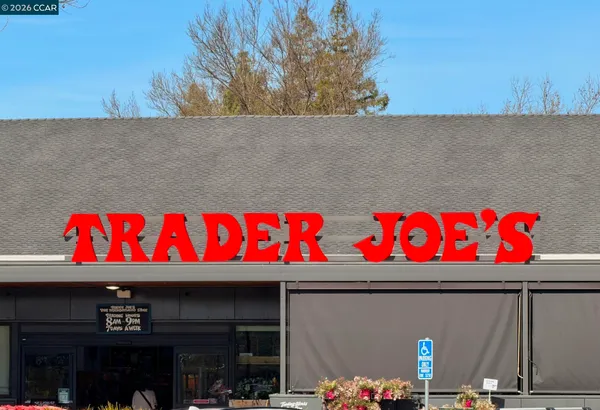 a view of a park with plants and trees