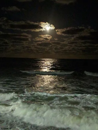 a view of a park with plants