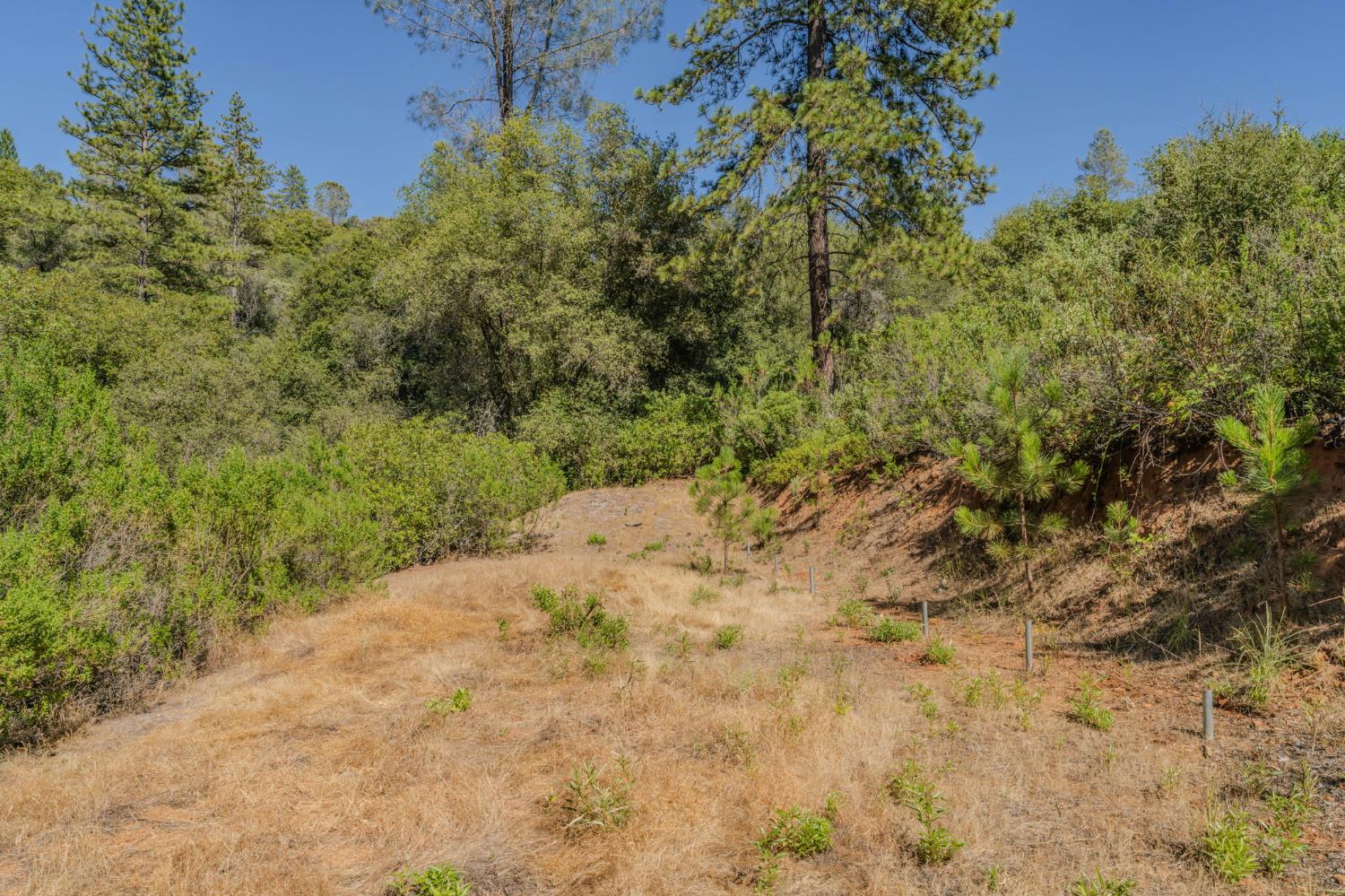 6240 Michel Road Mountain Ranch, CA 95246 - Photo 64 of 92