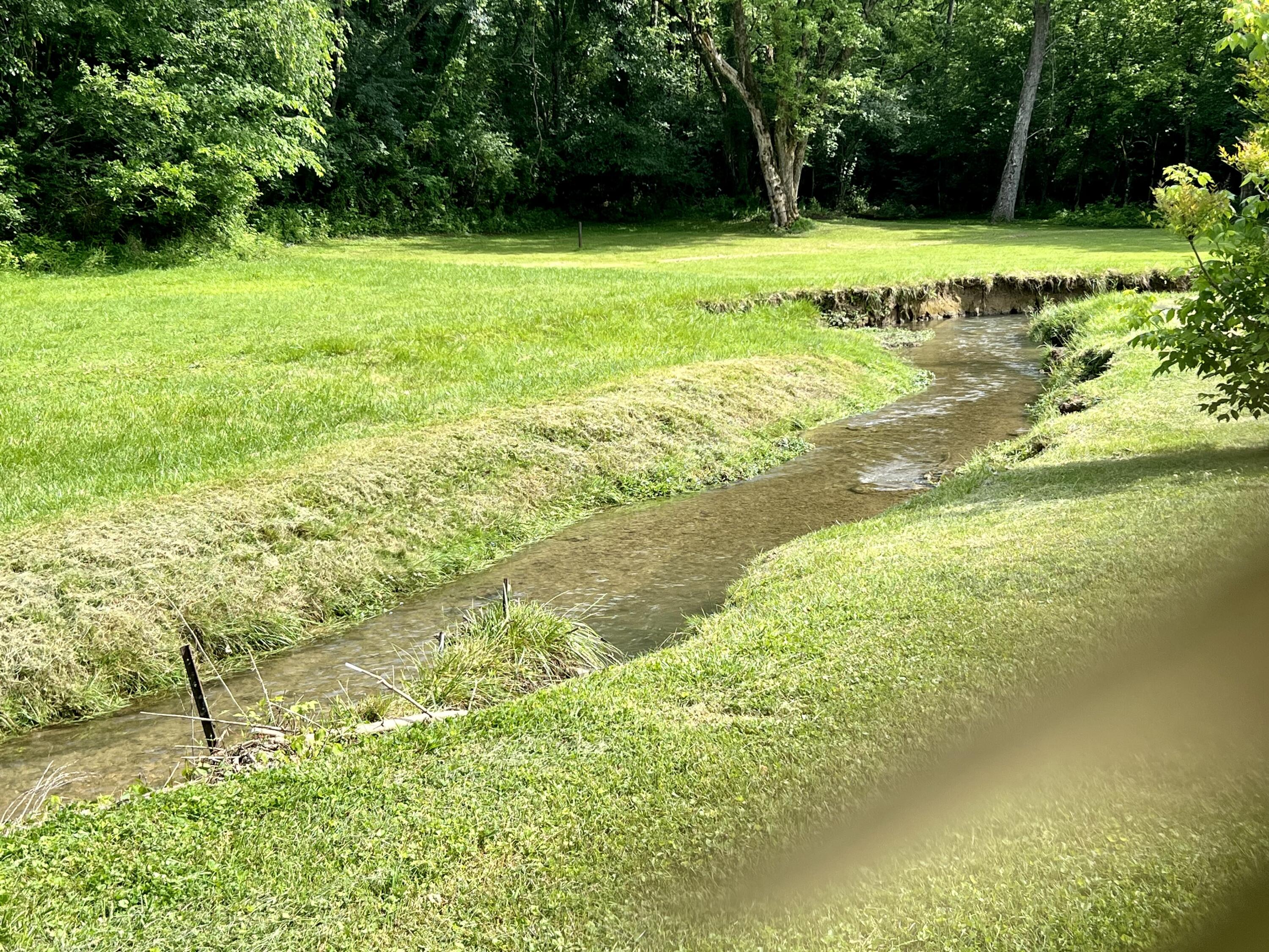 705 Cedar Valley Road Bristol, TN 37620 - Photo 39 of 39 IMG_3481