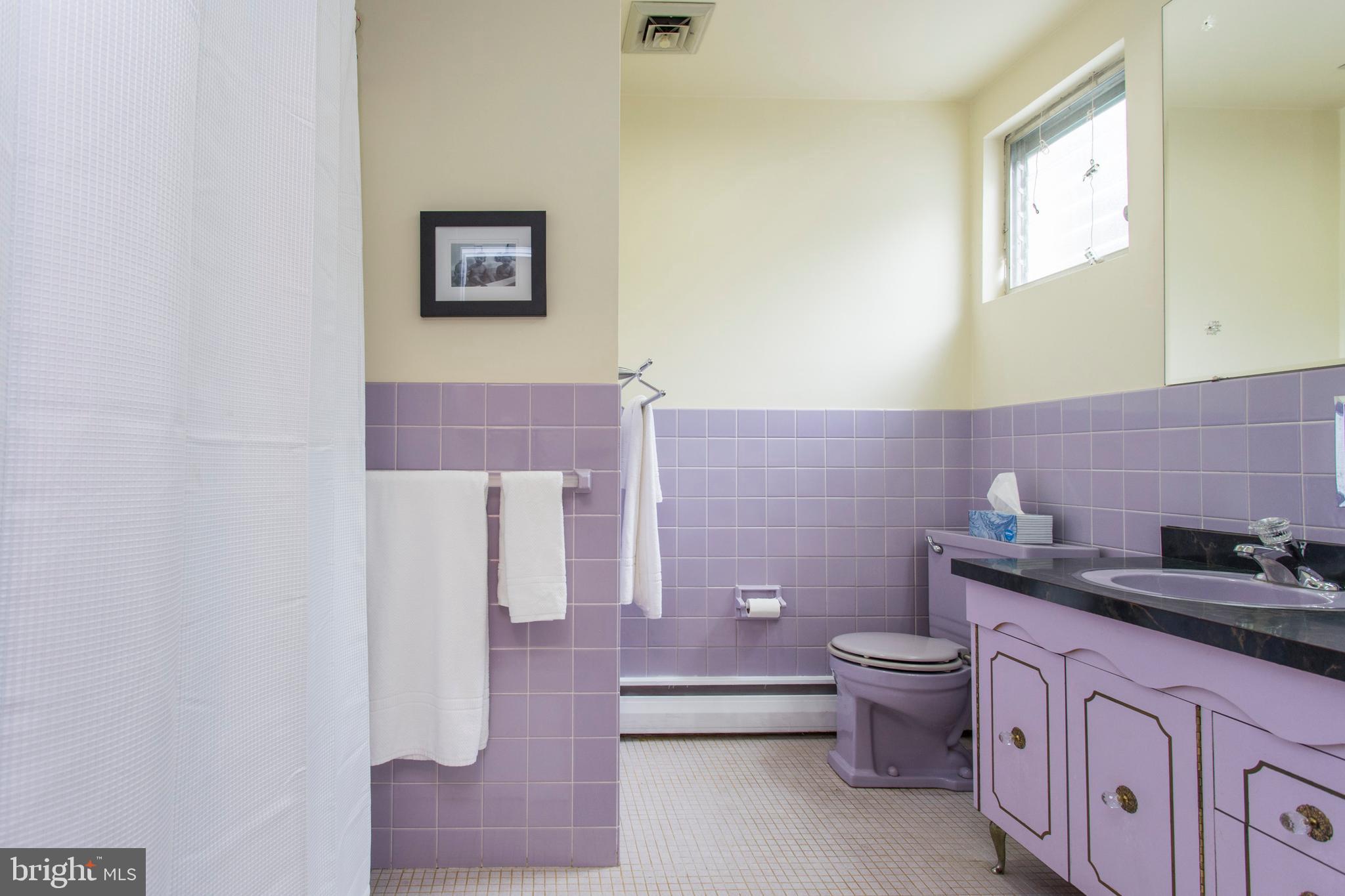 505 Ellis Road Havertown, PA 19083 - Photo 43 of 47 2nd Floor Hall Bathroom