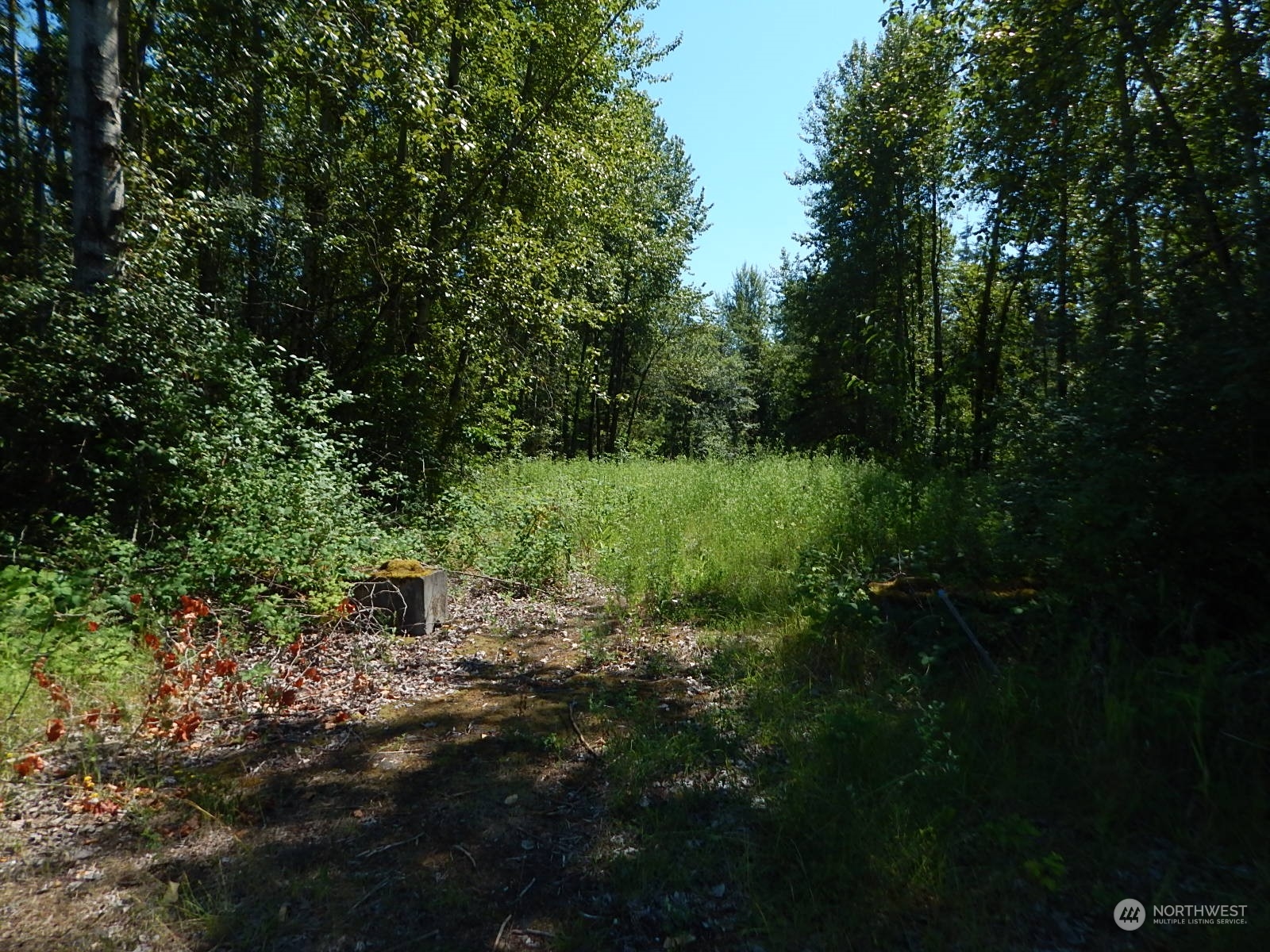 1135 East Axton Road Bellingham, WA 98226 - Photo 3 of 9 a view of outdoor space and yard