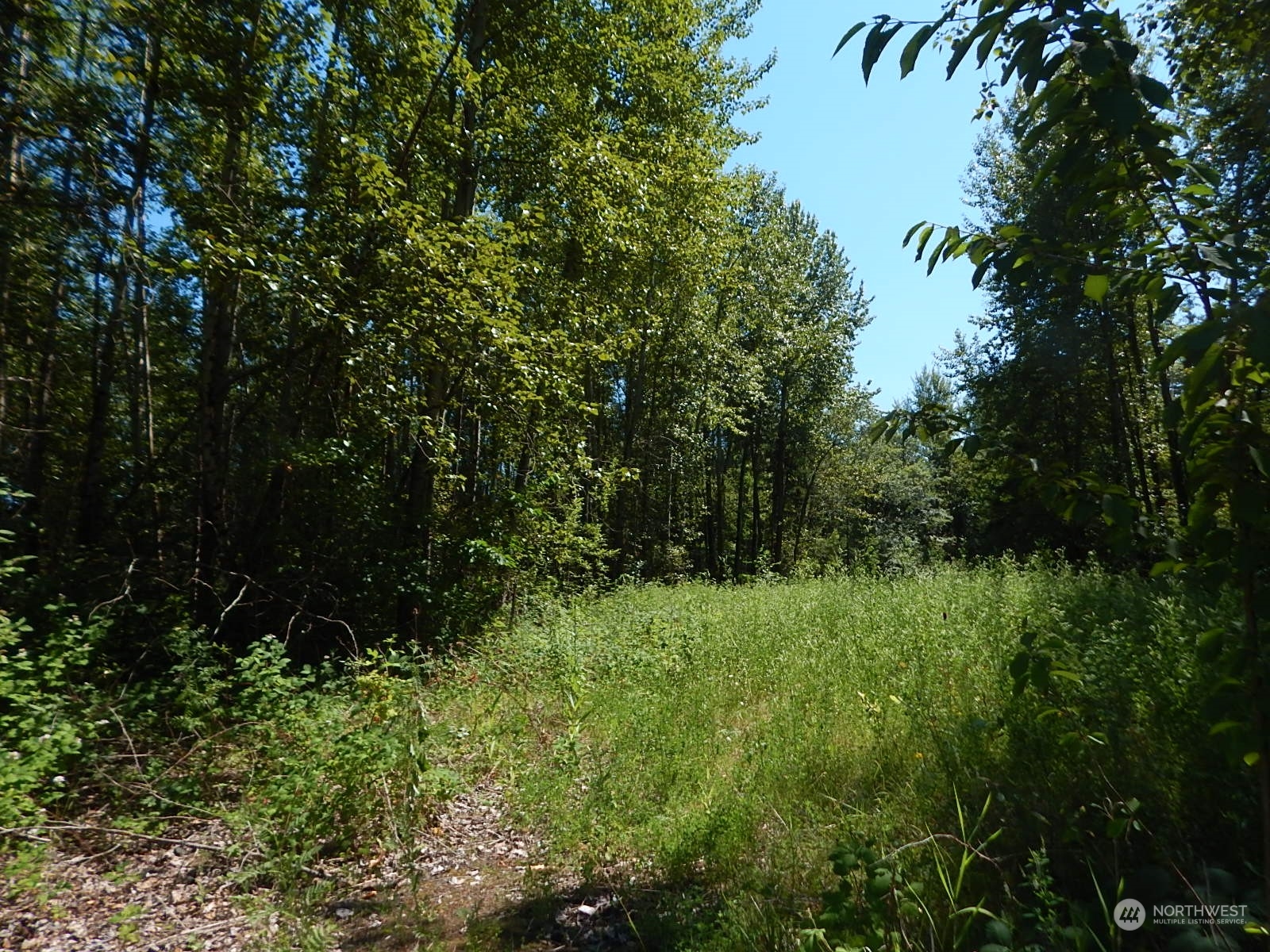 1135 East Axton Road Bellingham, WA 98226 - Photo 6 of 9 a view of a garden
