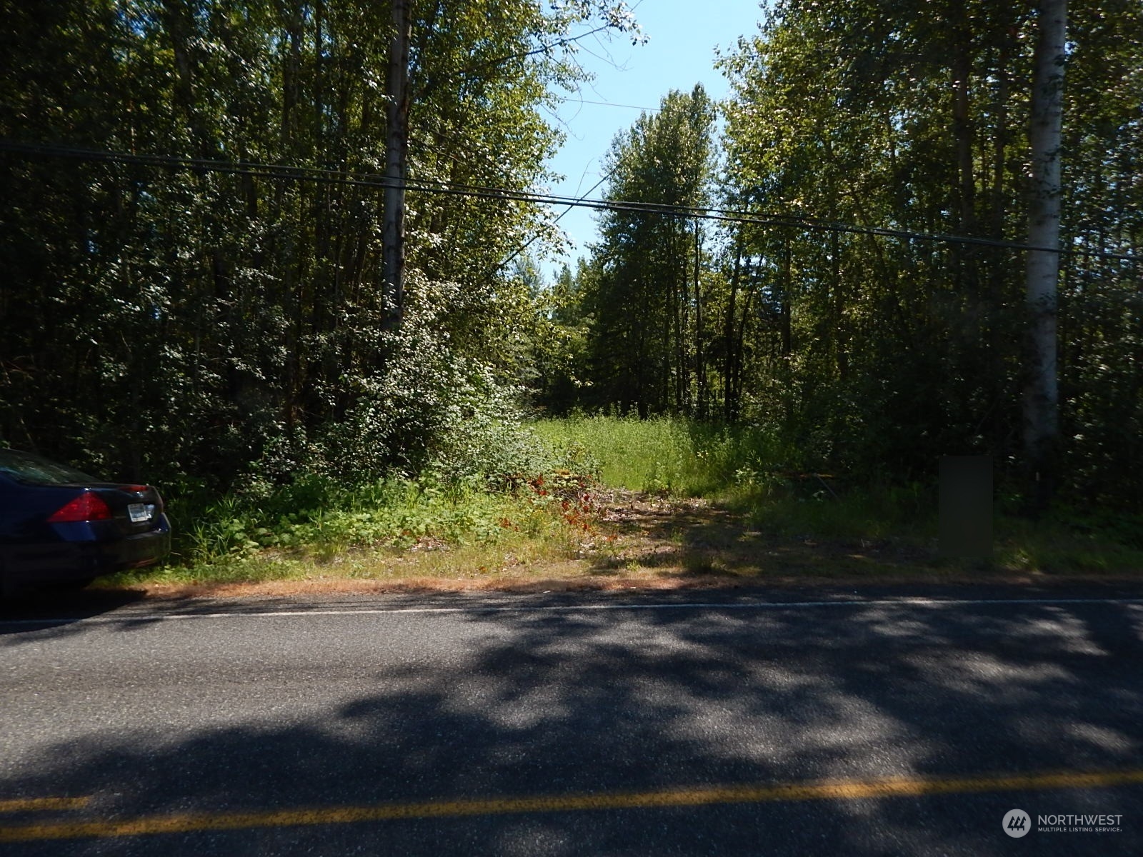 1135 East Axton Road Bellingham, WA 98226 - Photo 8 of 9 a view of a yard with a tree