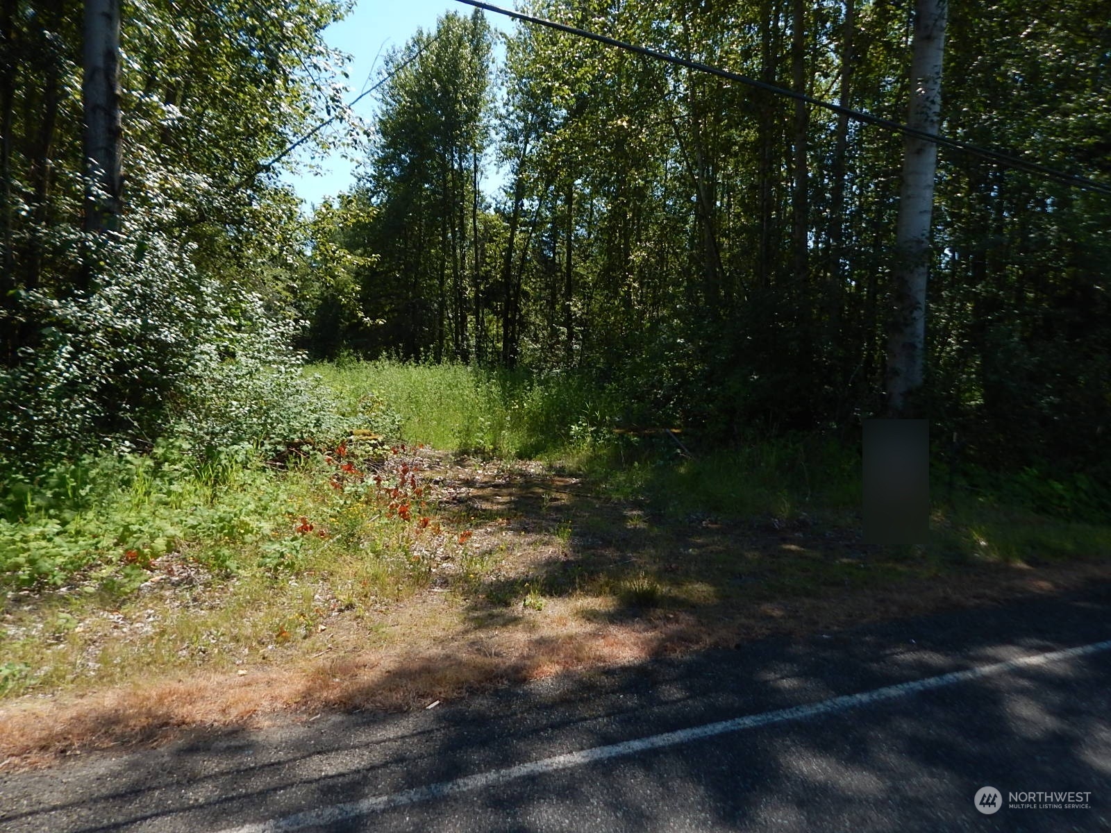 1135 East Axton Road Bellingham, WA 98226 - Photo 9 of 9 a view of a yard