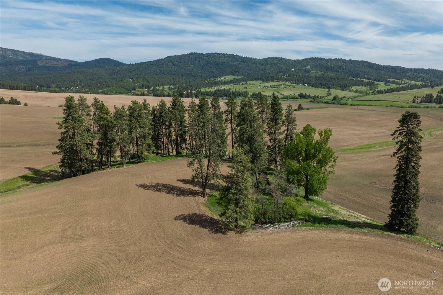 -xxx South Jackson Road, Unit LOT 17 Mica, WA 99023 - Photo 19 of 40 a view of lake with mountain