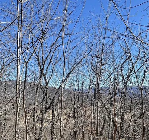 $20,000 | 60-61j Mountain Harbour Drive, Hayesville, NC 28904