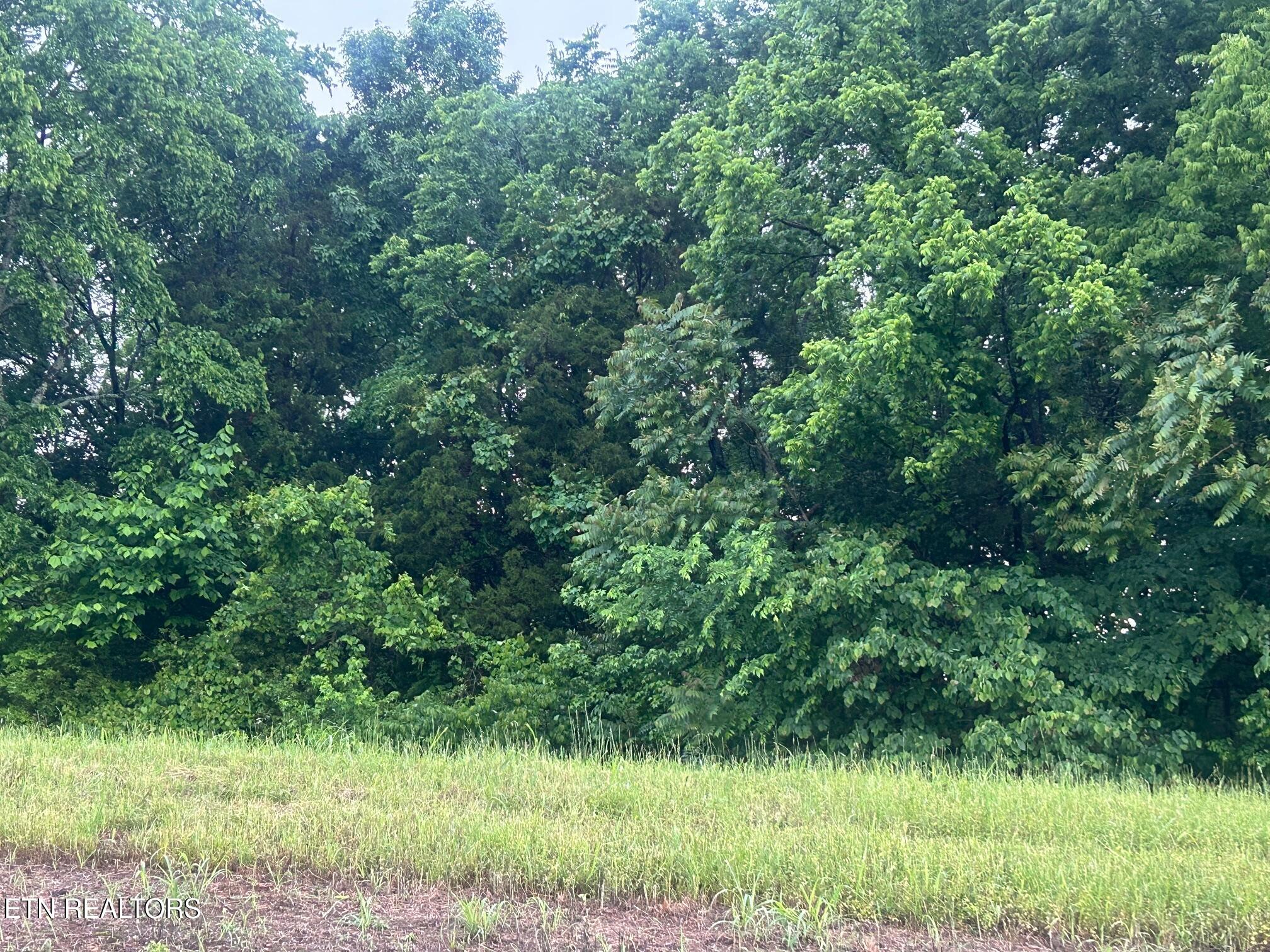 Lot 52 The Gates Drive Decatur, TN 37322 - Photo 1 of 9 Lot 51