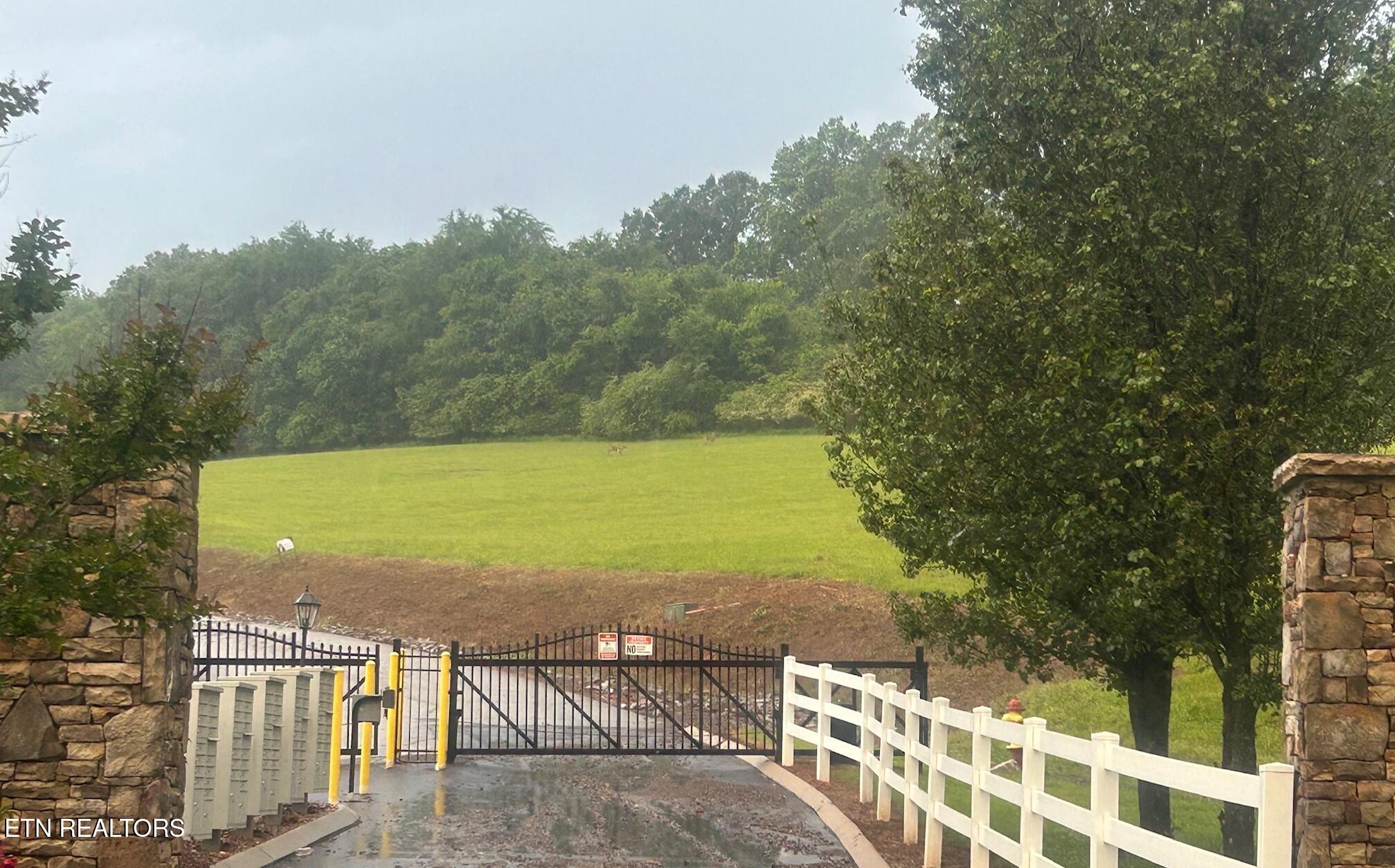 Lot 52 The Gates Drive Decatur, TN 37322 - Photo 4 of 9 Gate