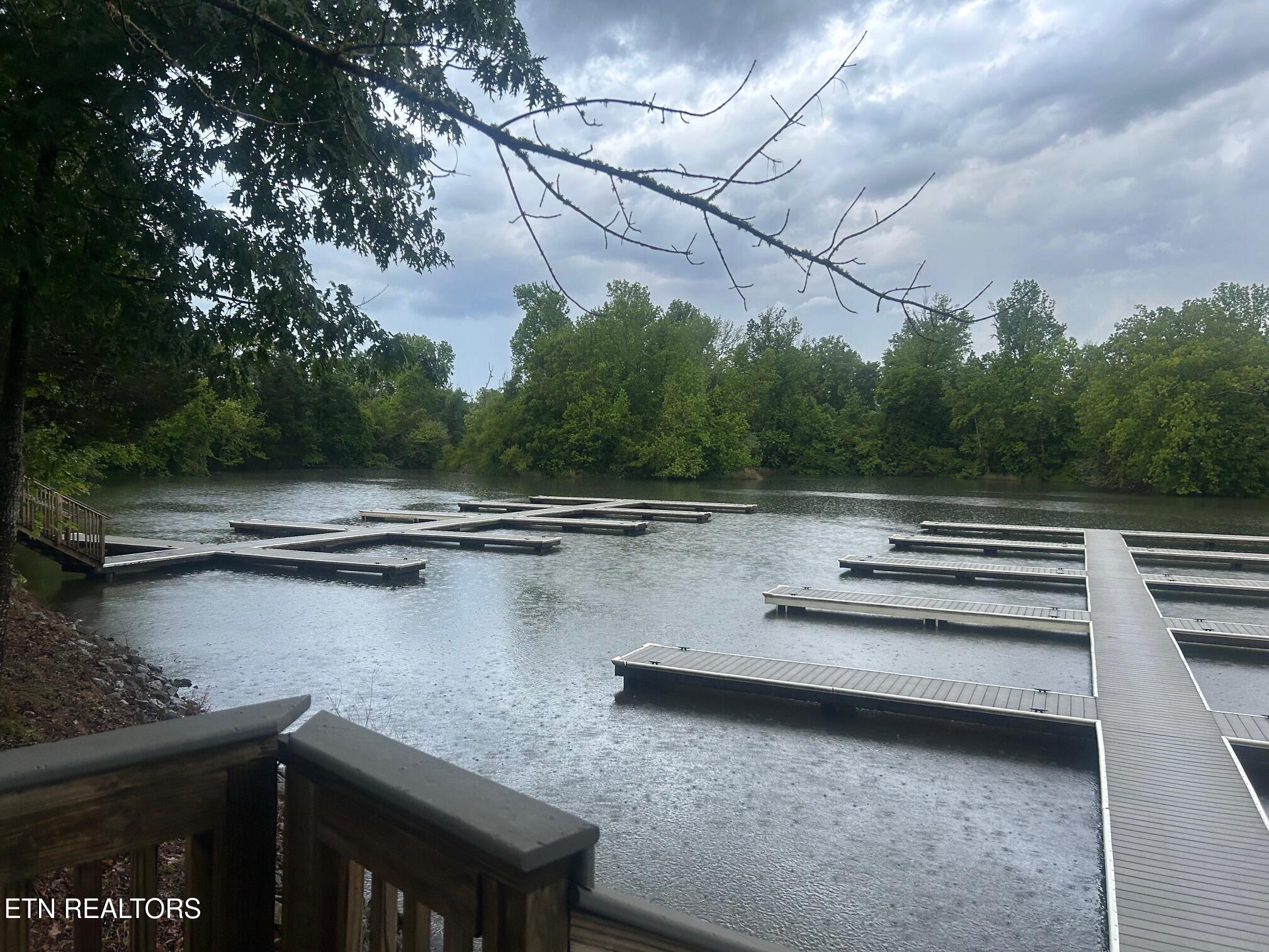 Lot 52 The Gates Drive Decatur, TN 37322 - Photo 8 of 9 Boat slip