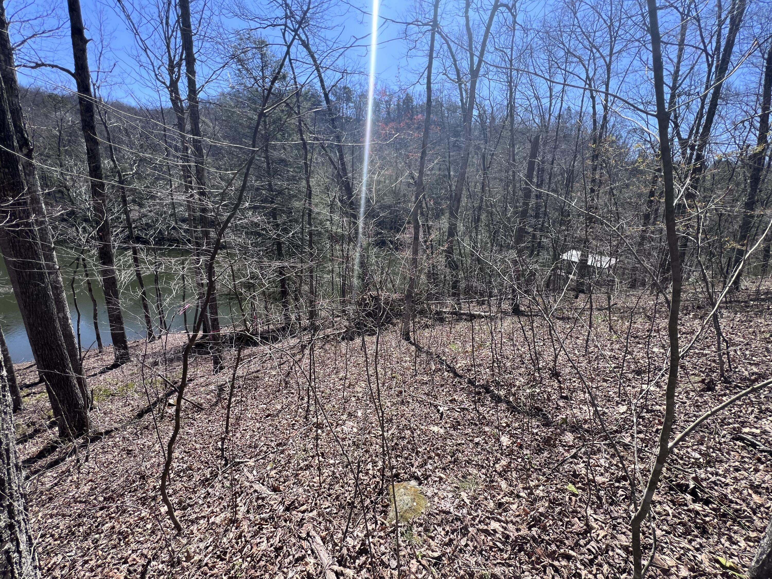 9911 Cliffs Edge Road East Bernstadt, KY 40729 - Photo 10 of 12 IMG_1714