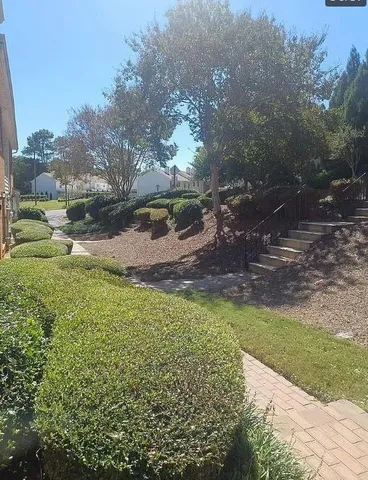 a view of a park with large trees
