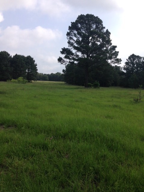 15 / Acres Road Paige, TX 78659 - Photo 1 of 1