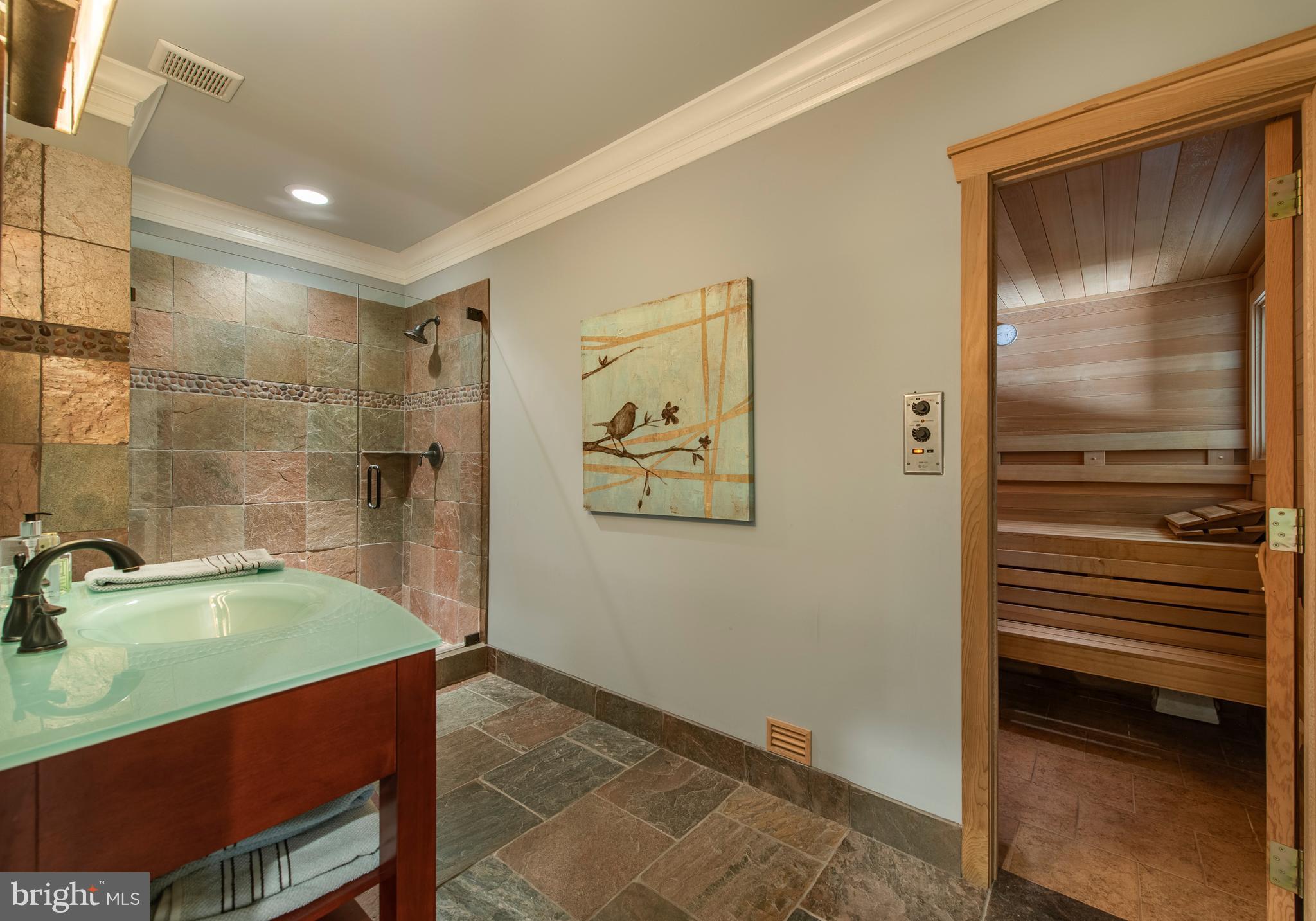 1670 Boot Road West Chester, PA 19380 - Photo 39 of 46 Full Bath & Sauna