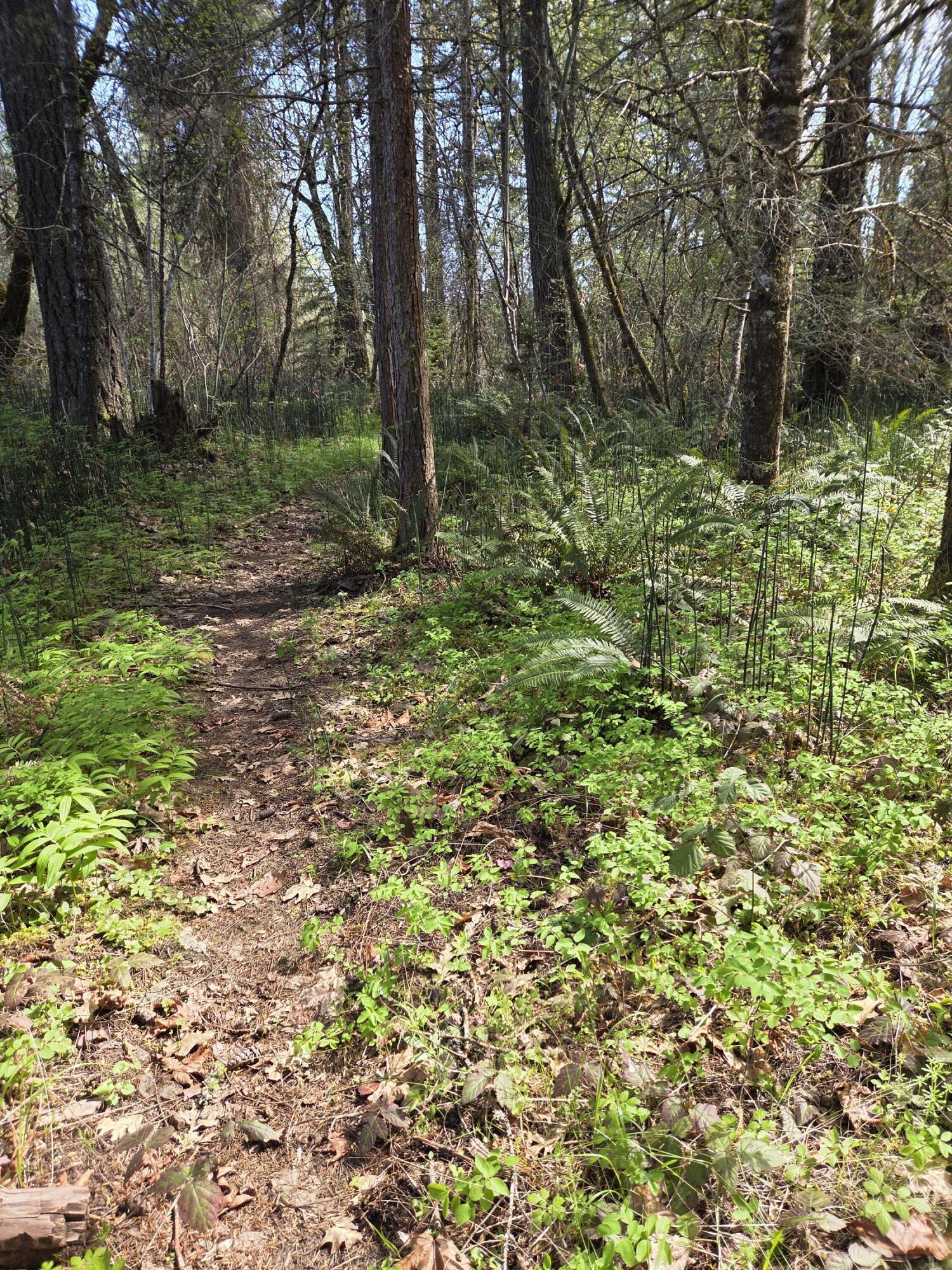 3760 Pleasant Creek Road Rogue River, OR 97537 - Photo 26 of 36