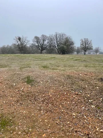 a view of a field with an ocean view