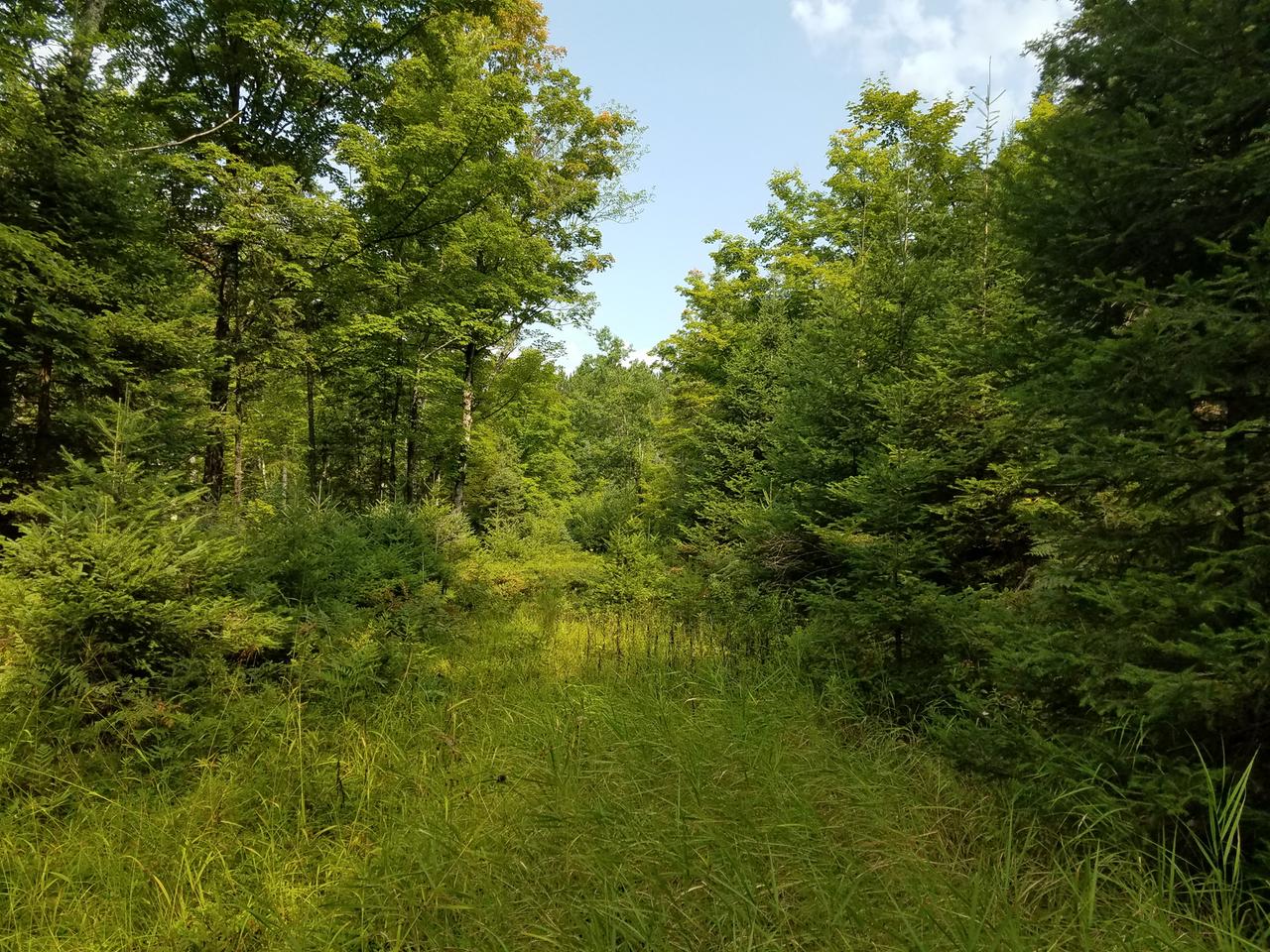 On Bald Eagle Road Presque Isle, WI 54557 - Photo 16 of 33 Gallery Image 16