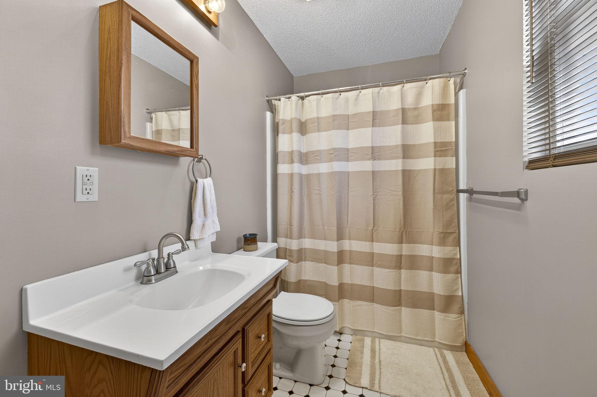 2368 Crossings View Road Paw Paw, WV 25434 - Photo 24 of 65 Main level full bath with single vanity and tub