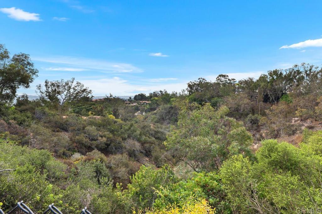 5509 Linea Del Cielo Rancho Santa Fe, CA 92067 - Photo 35 of 44