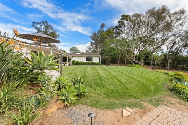 a view of a backyard with pathway