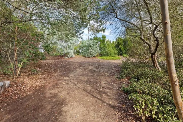 a view of a yard with a tree