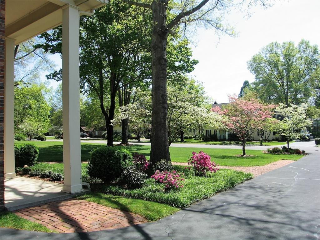 Beautiful YardLandscaping