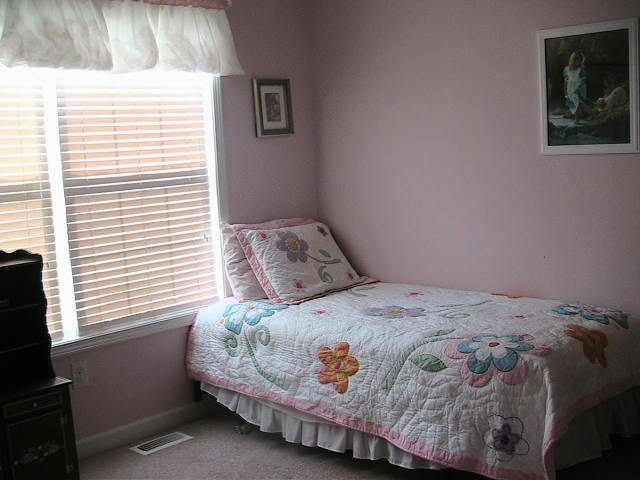 632 Old Cedar Rock Road Easley, SC 29640 - Photo 9 of 9 Gallery Image 9