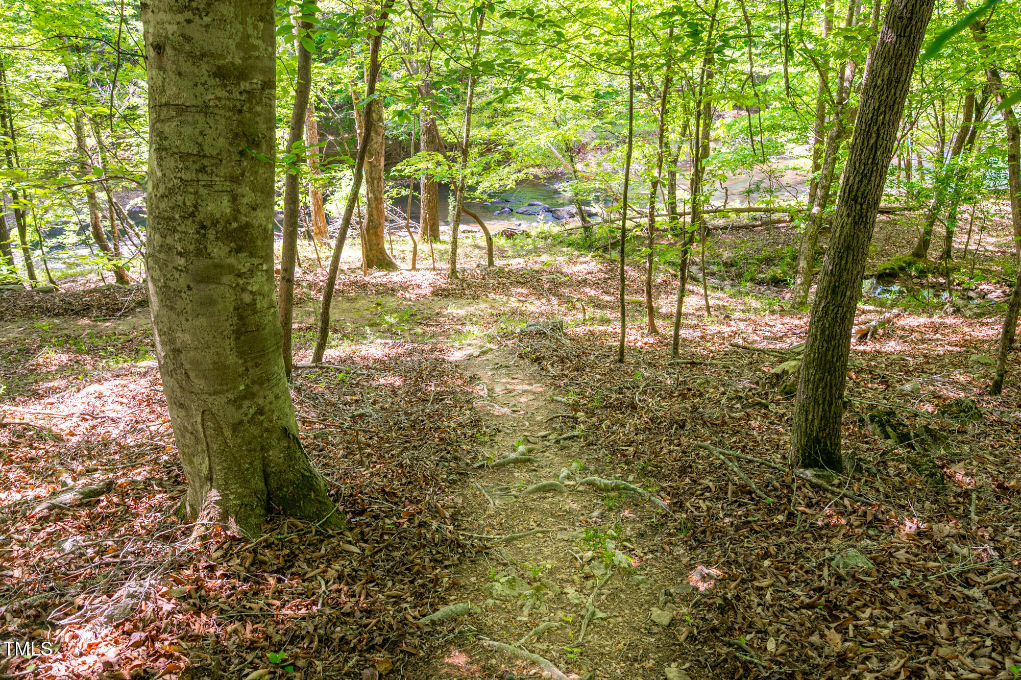 7723 Johnson Mill Road Bahama, NC 27503 - Photo 45 of 58 a view of outdoor space and trees
