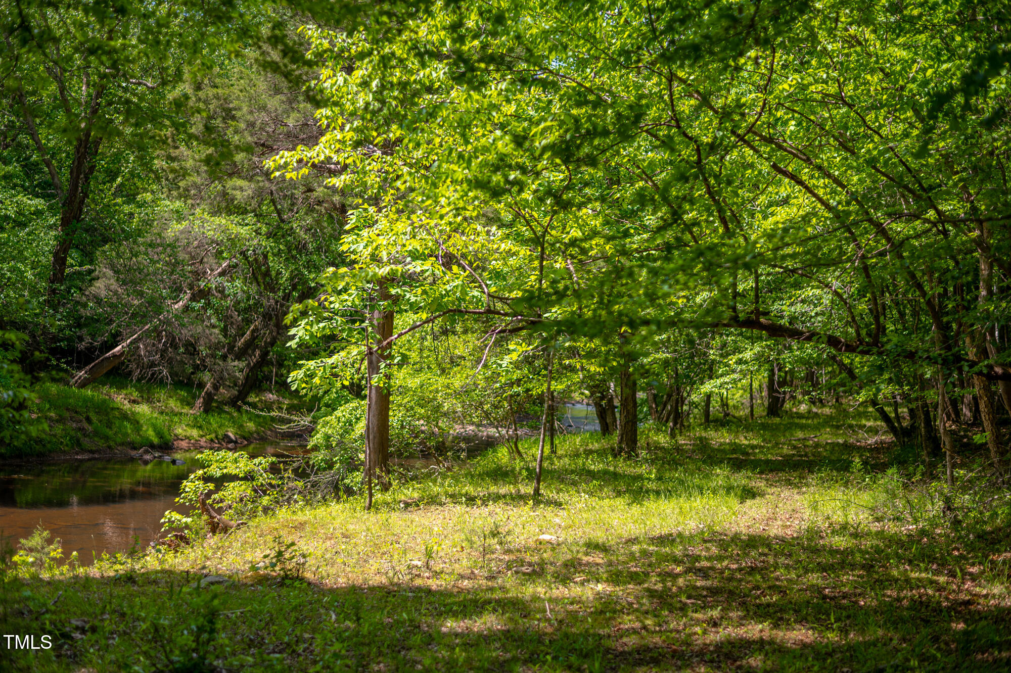 7723 Johnson Mill Road Bahama, NC 27503 - Photo 46 of 58 a backyard of a house with a yard and large trees