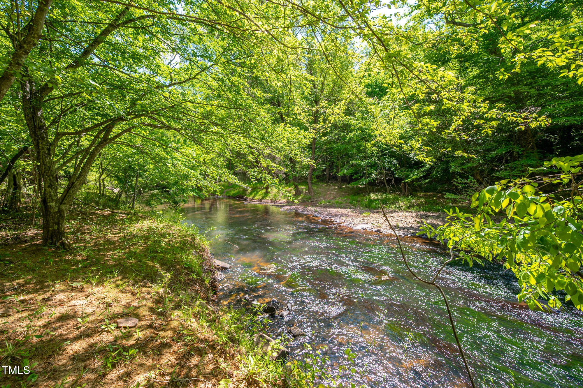 7723 Johnson Mill Road Bahama, NC 27503 - Photo 49 of 58 a view of a yard with a tree