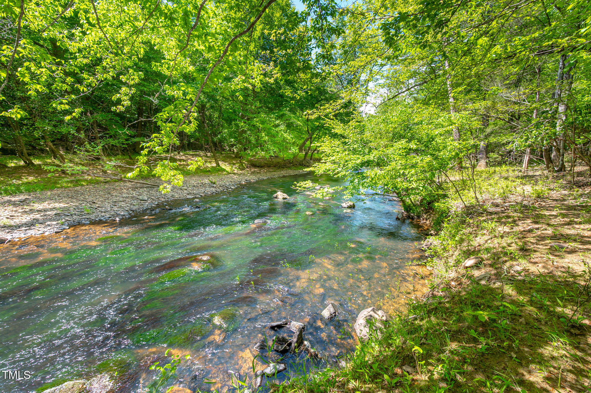 7723 Johnson Mill Road Bahama, NC 27503 - Photo 50 of 58 a backyard of a house with lots of green space