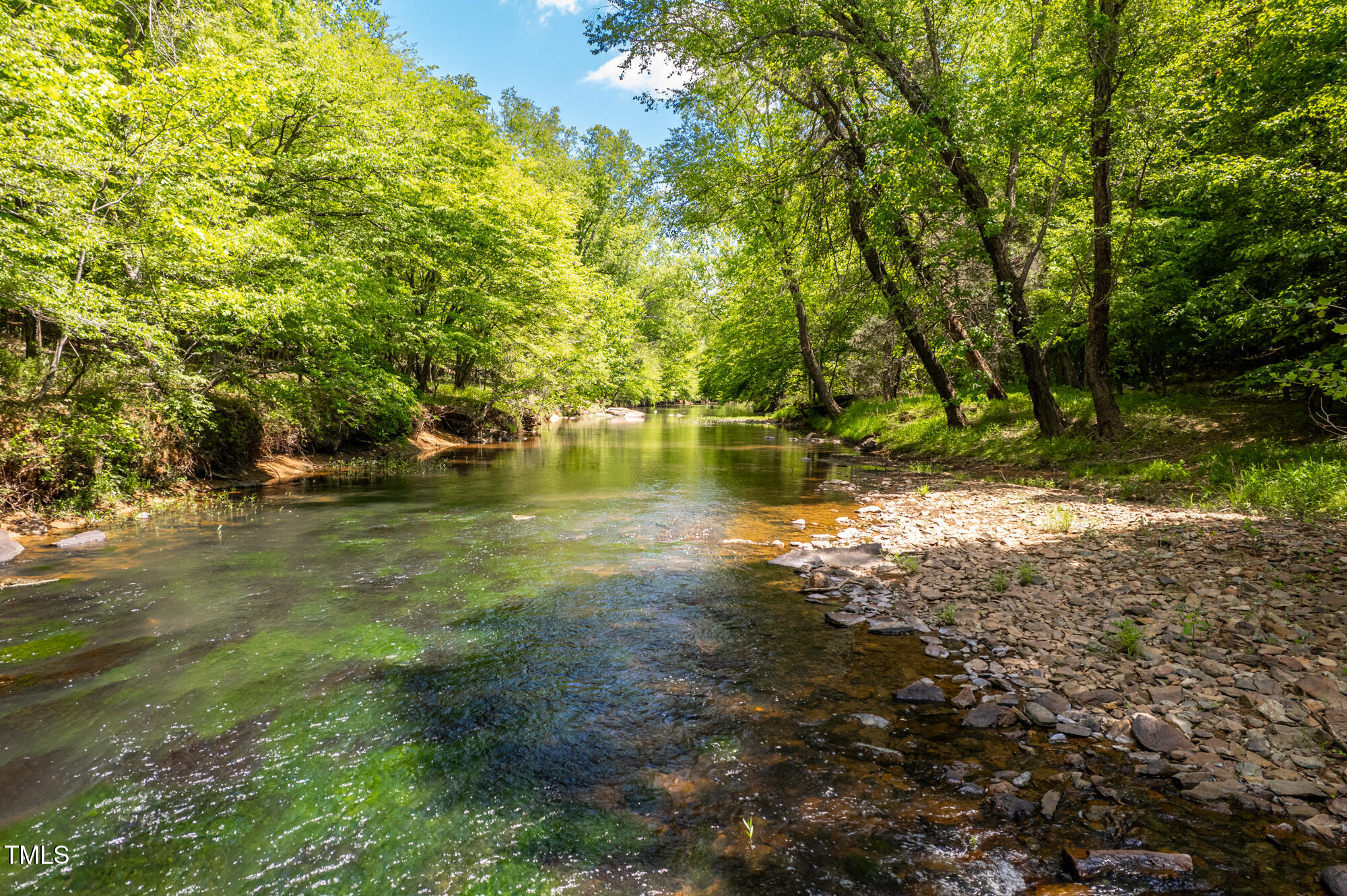 7723 Johnson Mill Road Bahama, NC 27503 - Photo 51 of 58 a view of yard with green space