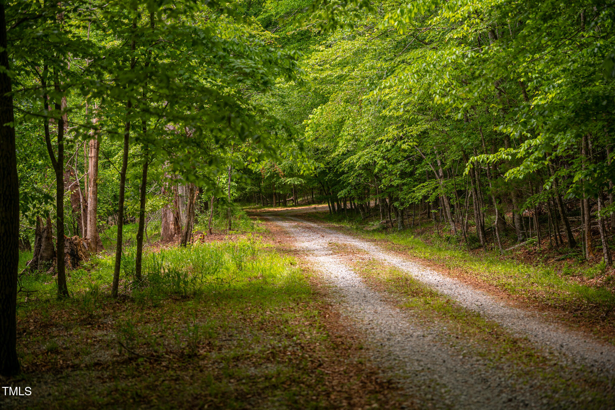 7723 Johnson Mill Road Bahama, NC 27503 - Photo 52 of 58 a view of back yard