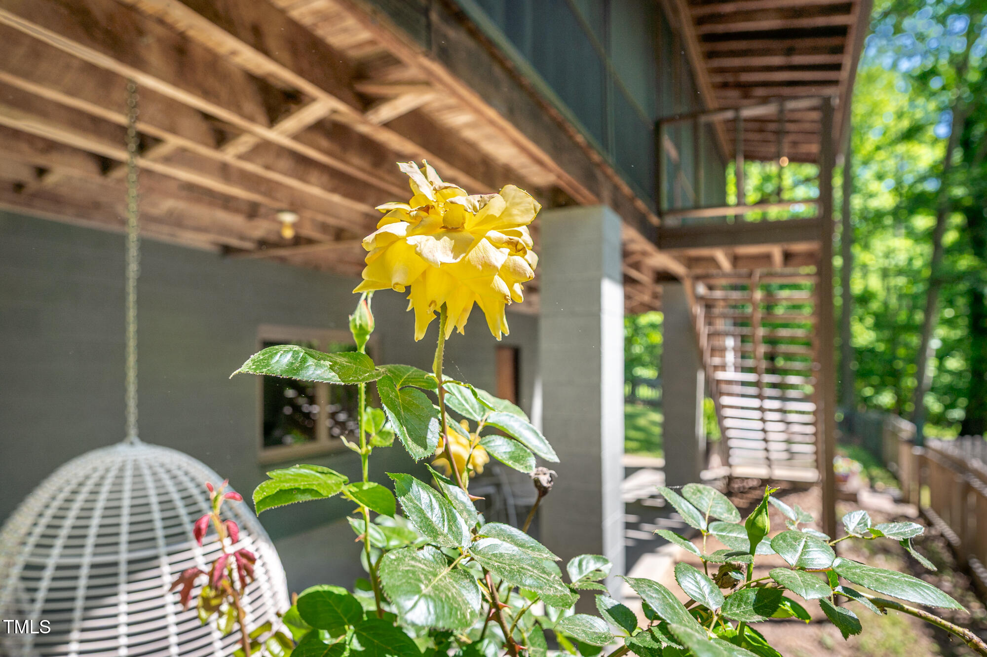 7723 Johnson Mill Road Bahama, NC 27503 - Photo 5 of 58 a vase of flowers sitting on a floor