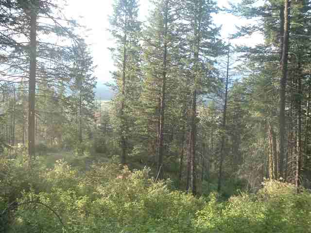3601 West Brant Road Colbert, WA 99005 - Photo 2 of 5
