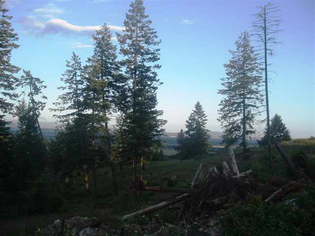 3601 West Brant Road Colbert, WA 99005 - Photo 4 of 5