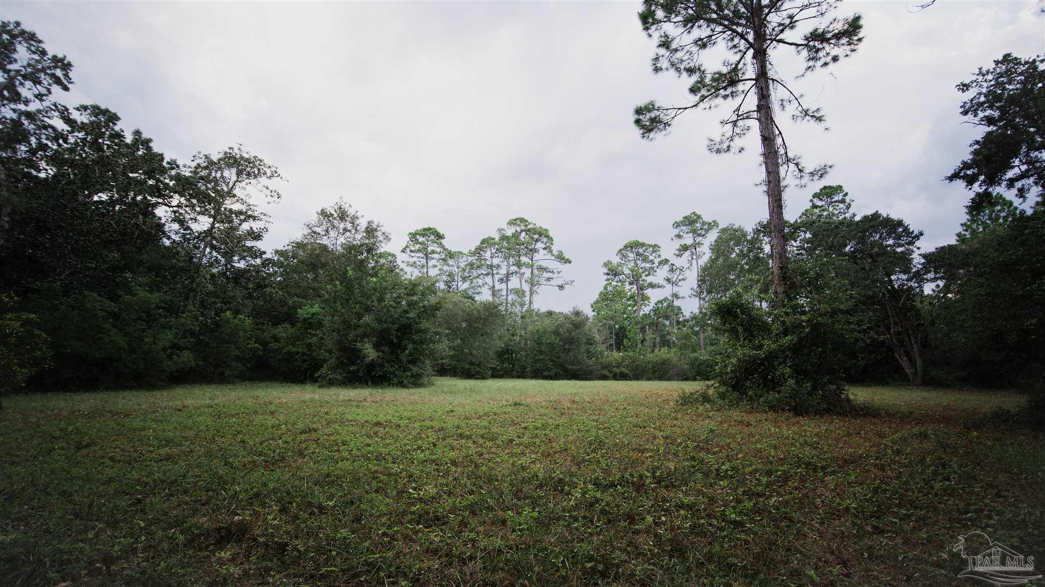 10 Grassy Road Milton, FL 32583 - Photo 5 of 9 Gallery Image 5