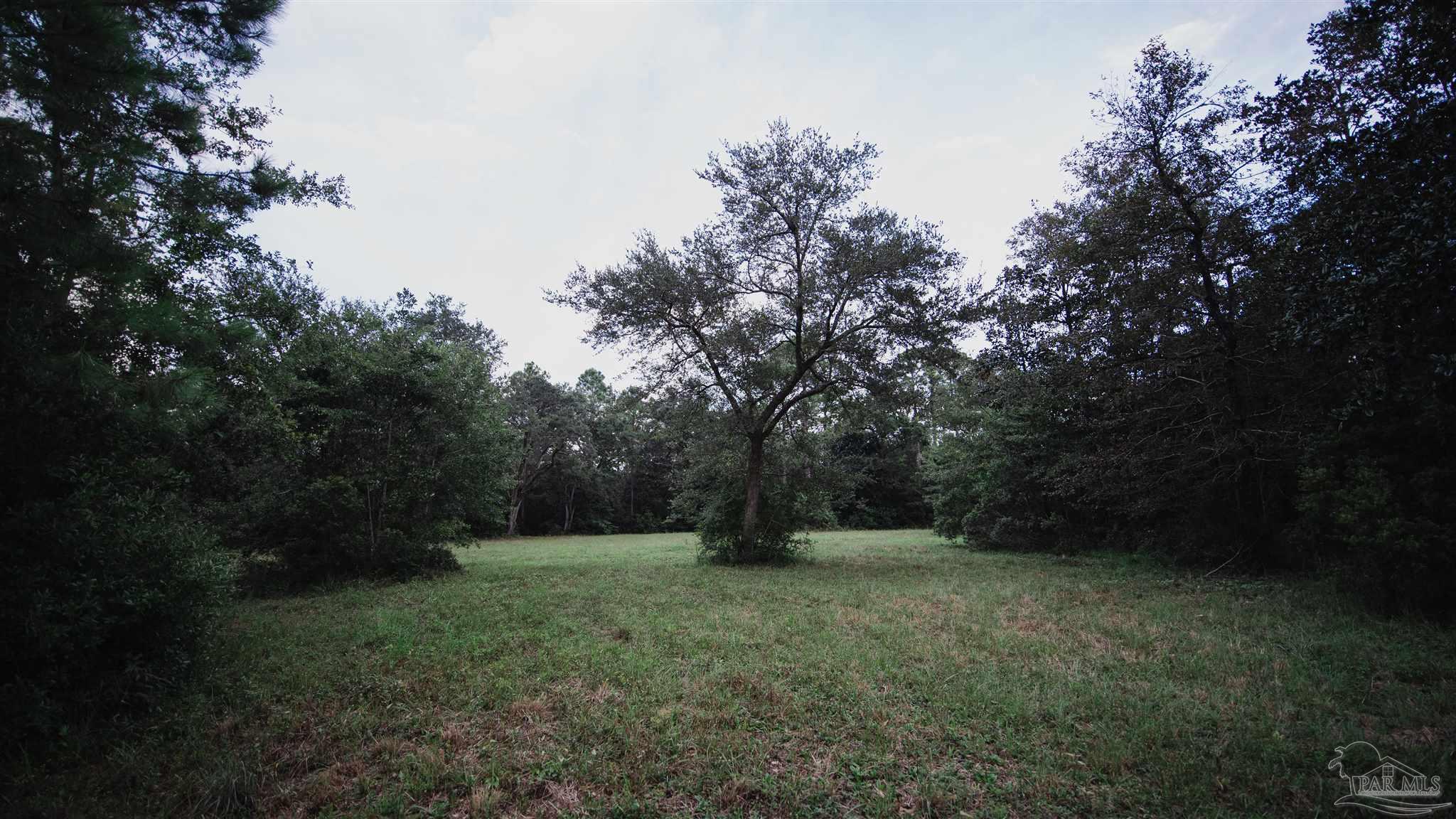 10 Grassy Road Milton, FL 32583 - Photo 6 of 9 Gallery Image 6