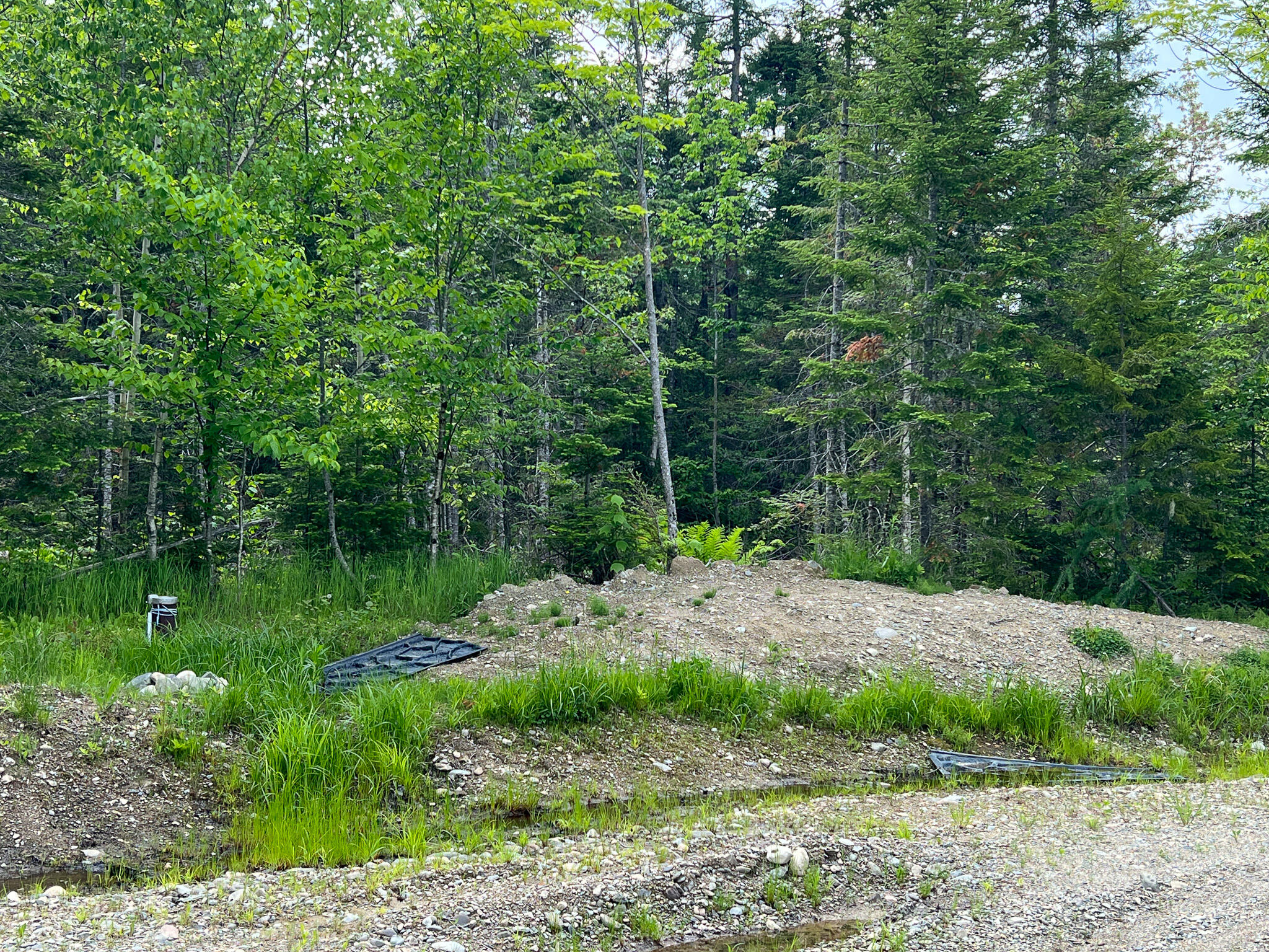1919 Main Road Carroll Plt, ME 04487 - Photo 21 of 24 21