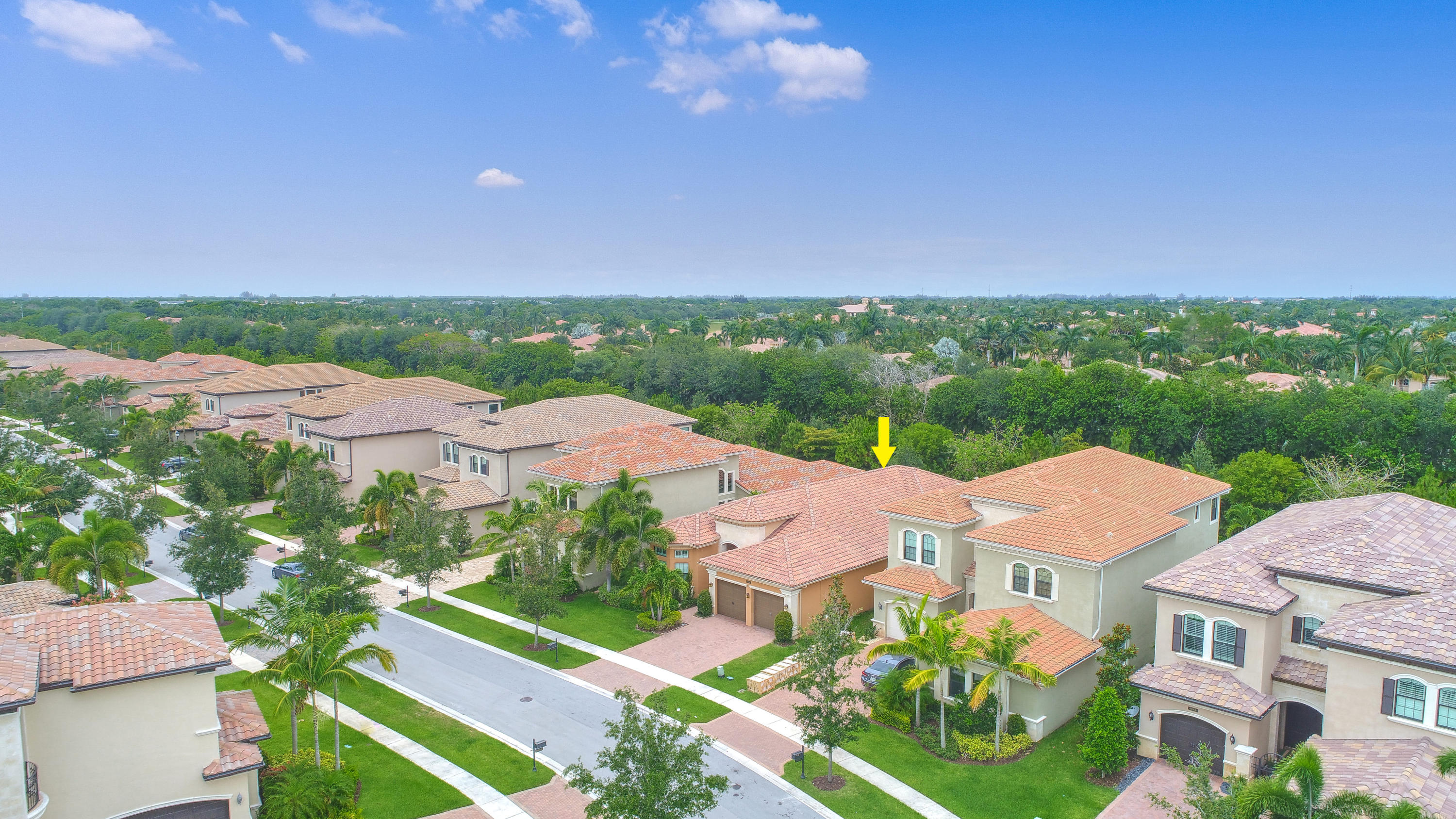 8700 Lewis River Road Delray Beach, FL 33446 - Photo 32 of 36 Aerial View