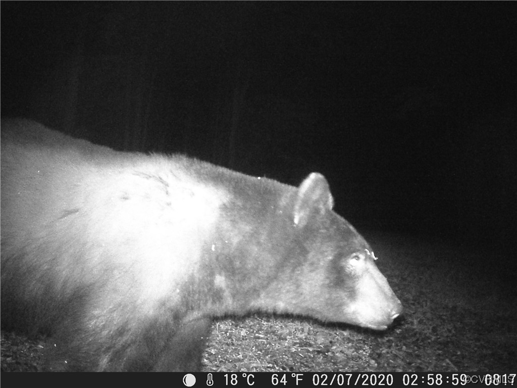 0 Trices Lake Road Columbia, VA 23038 - Photo 17 of 21 Gallery Image 17