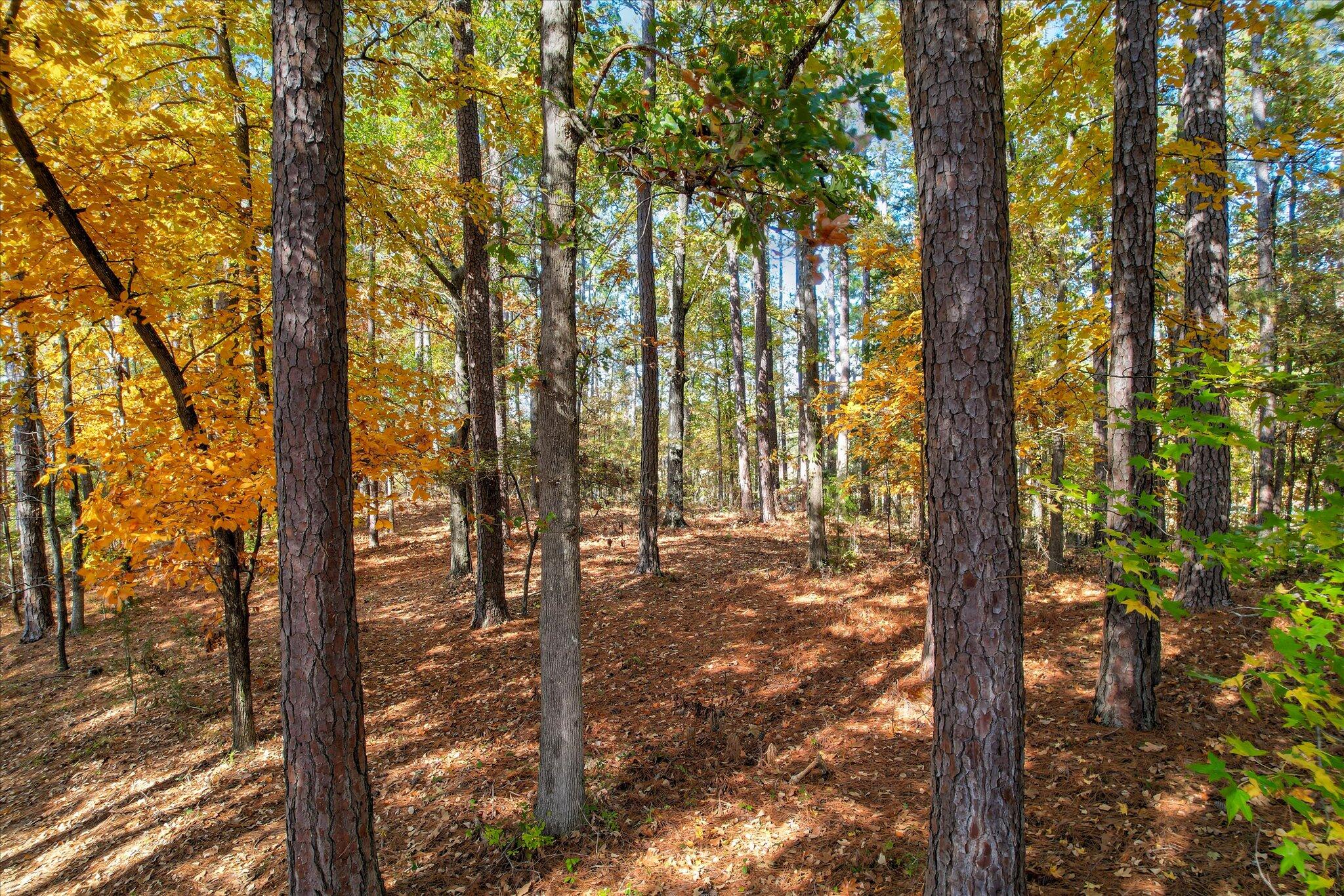 Lot 4 Block 15 Deer Run Lane McCormick, SC 29835 - Photo 15 of 15 15-115