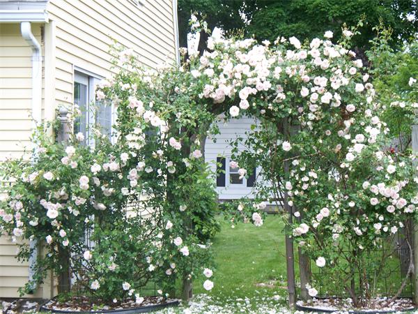 302 Gillette Avenue Springfield, MA 01118 - Photo 3 of 22 Gallery Image 3
