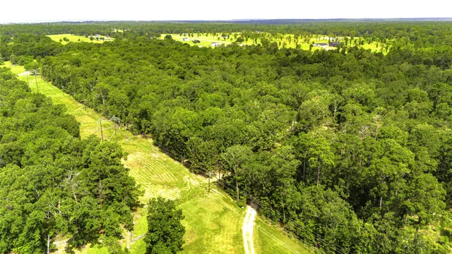 a view of a green field with lots of bushes