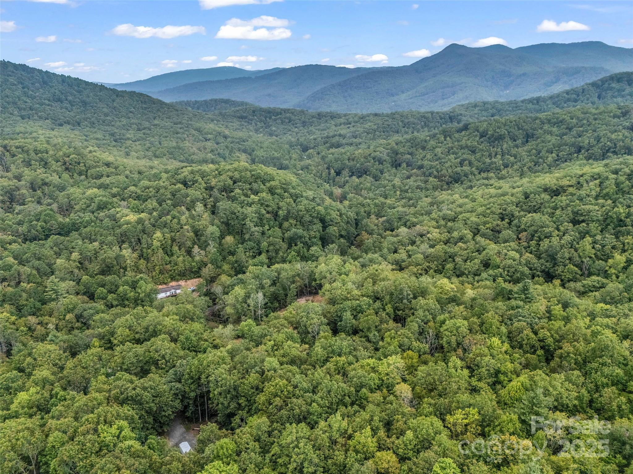16 Wildcat Ridge Drive Fairview, NC 28730 - Photo 11 of 23