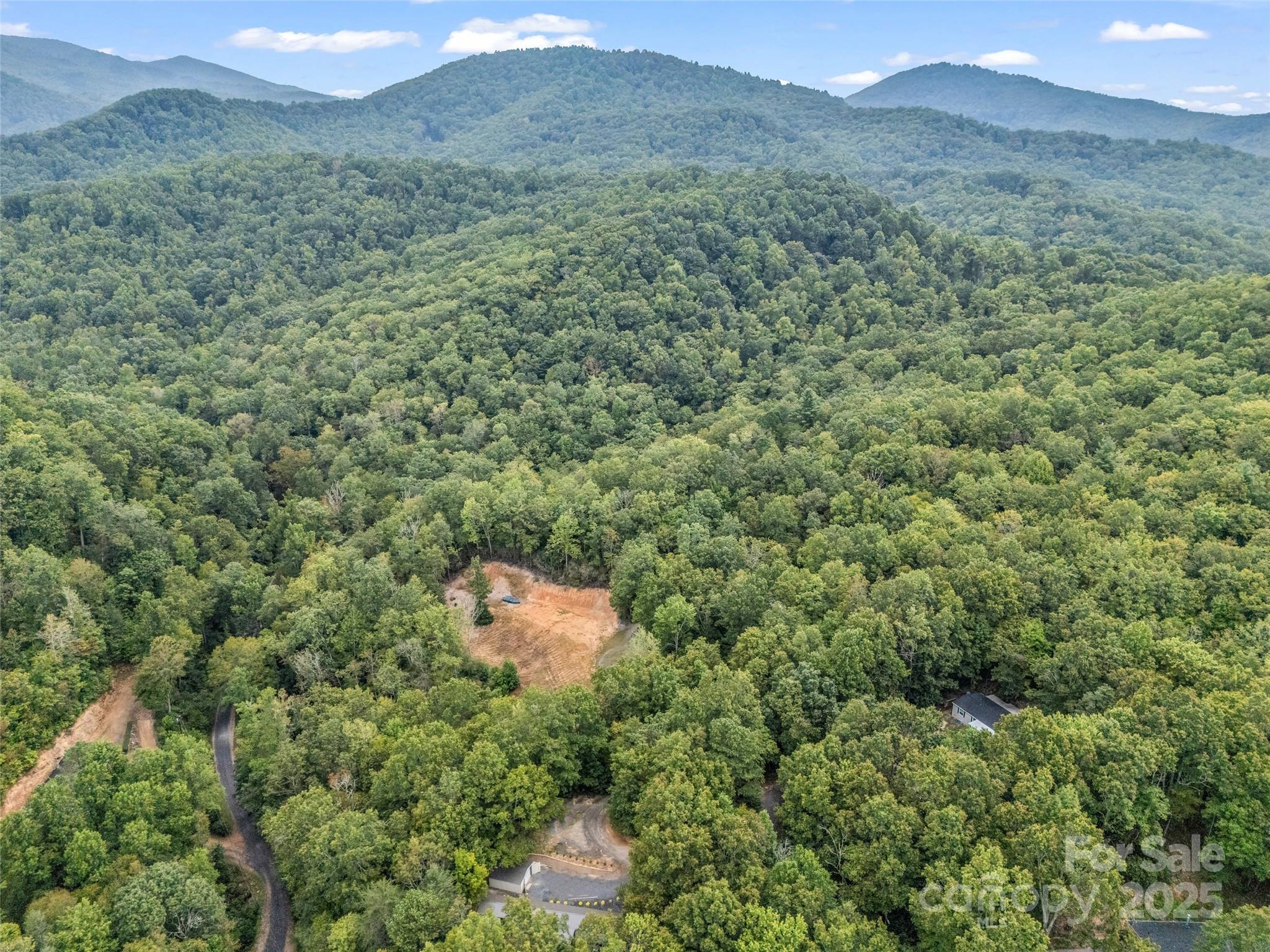 16 Wildcat Ridge Drive Fairview, NC 28730 - Photo 12 of 23